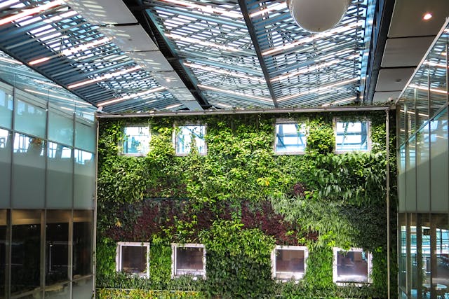 View of a living green wall that stretches from the floor to the ceiling as a partition in the atrium of a warehouse-style office building. Image at LondonOfficeSpace.com.