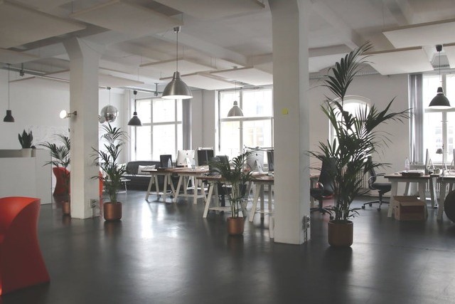 A daytime view across the inside of a modern, open-plan office space with a polished concrete floor, chrome pendant lights hanging from the ceiling and floor-to-ceiling windows letting in muted sunlight, probably from an overcast sky. Indoor plants are arranged artfully in round bronze-coloured pots next to the rectangular white columns that rise to the ceiling in the middle of the workspace, and workstations are arranged next to the windows. Image at LondonOfficeSpace.com.